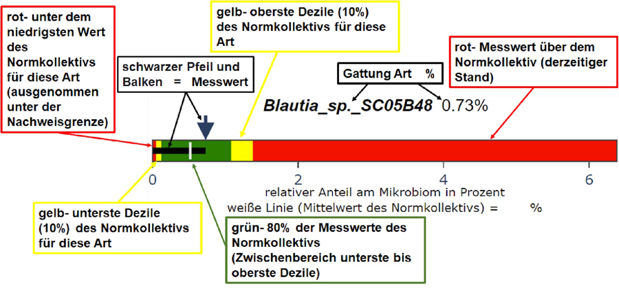 MedGene Mikrobiom Faq Befund